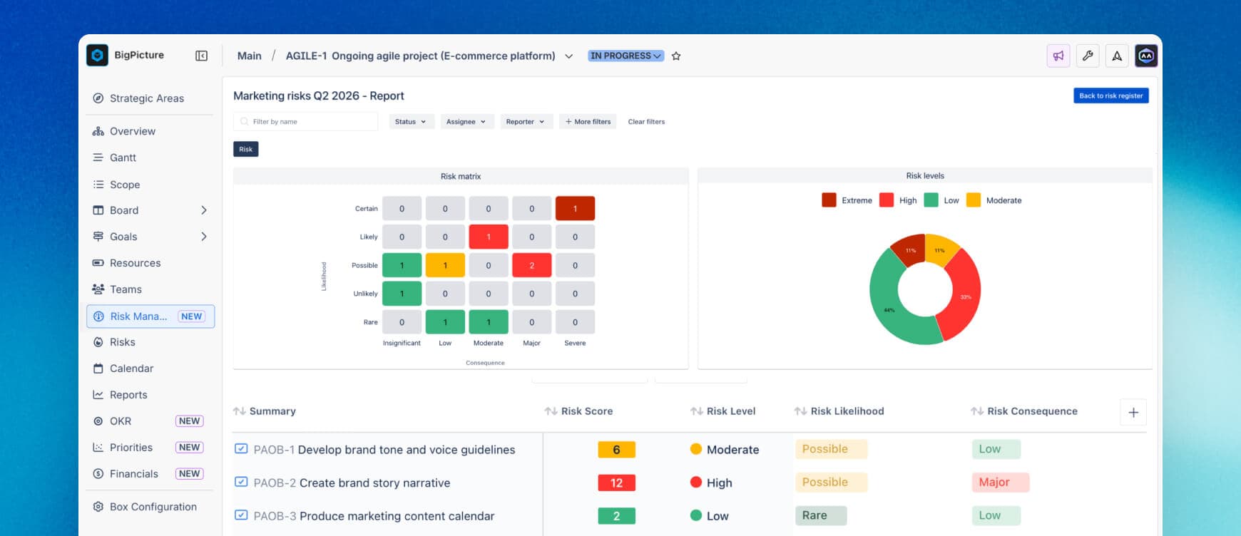 BigPicture Risk Management