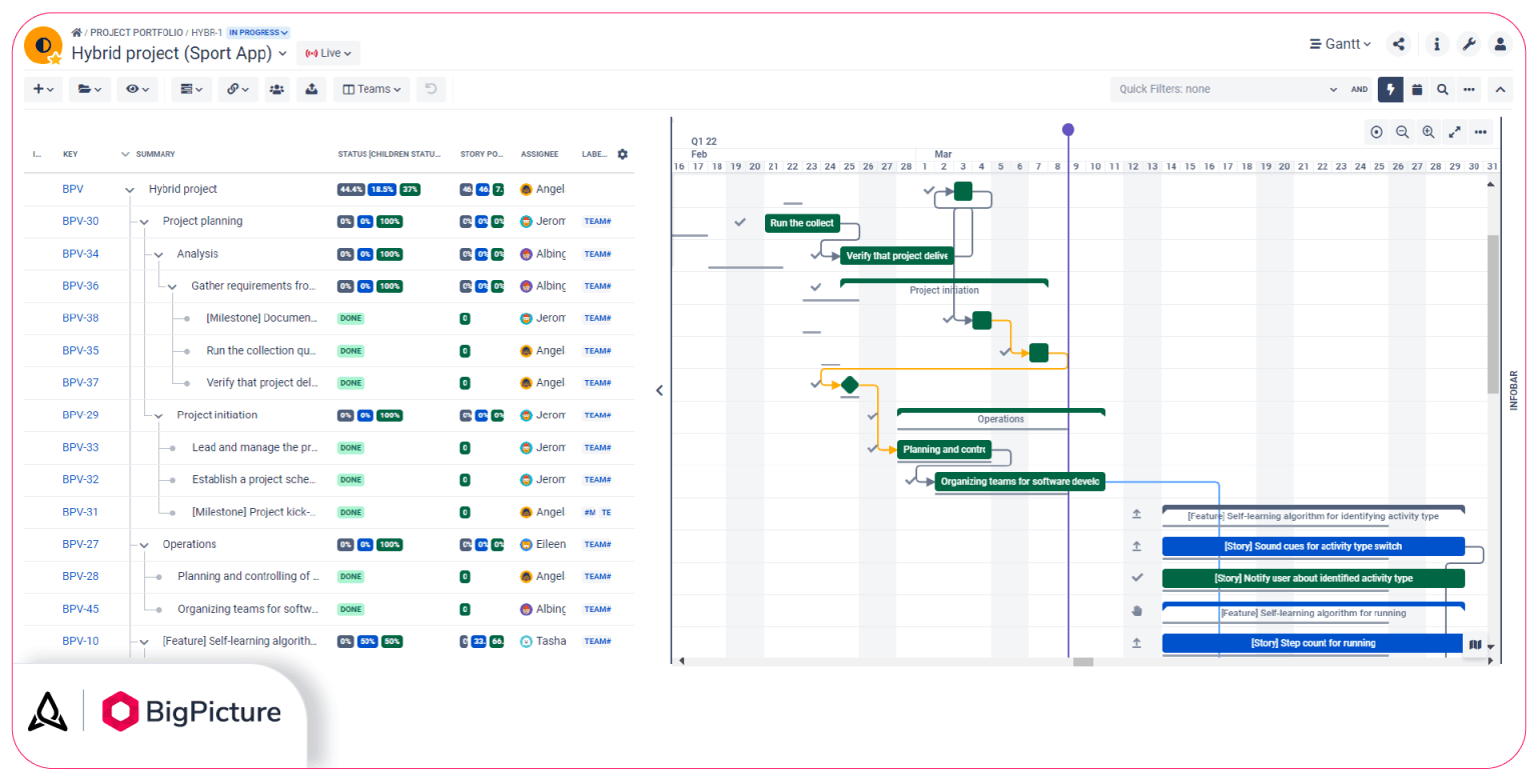 A Gantt chart in BigPicture.