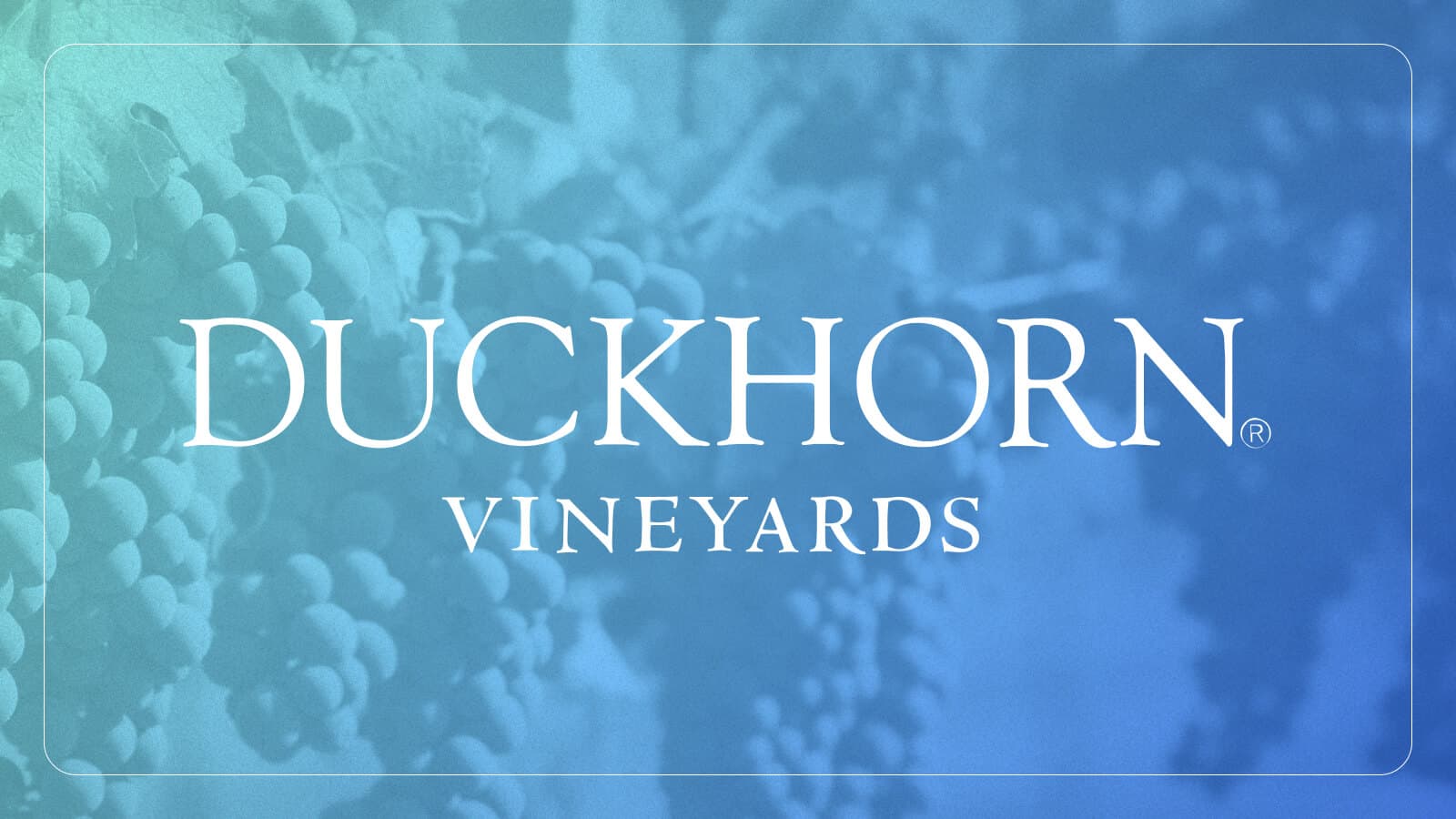 Duckhorn Vineyards logo over a background image of grapevines and grapes.