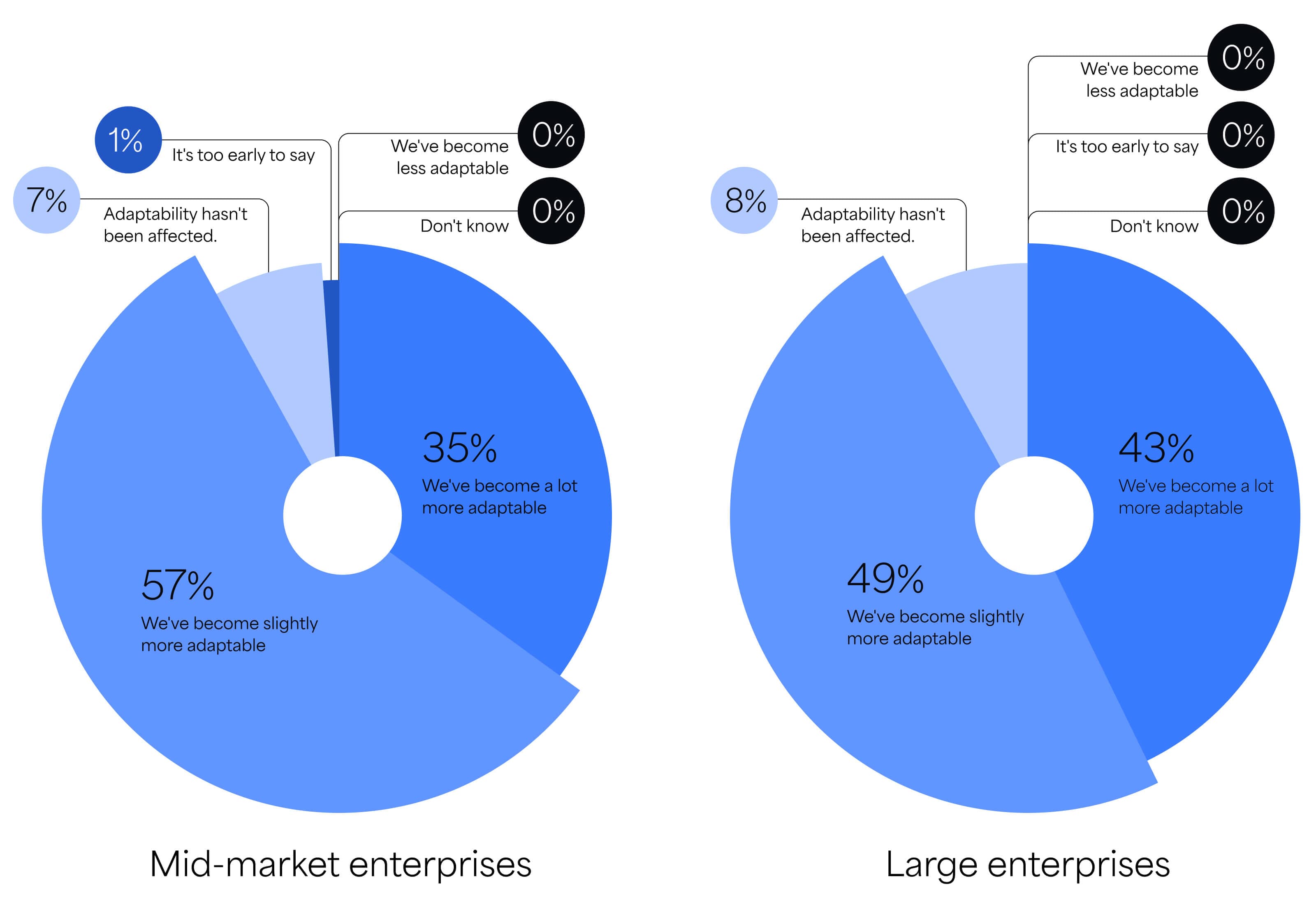 Agile adaptability - large and small organizations