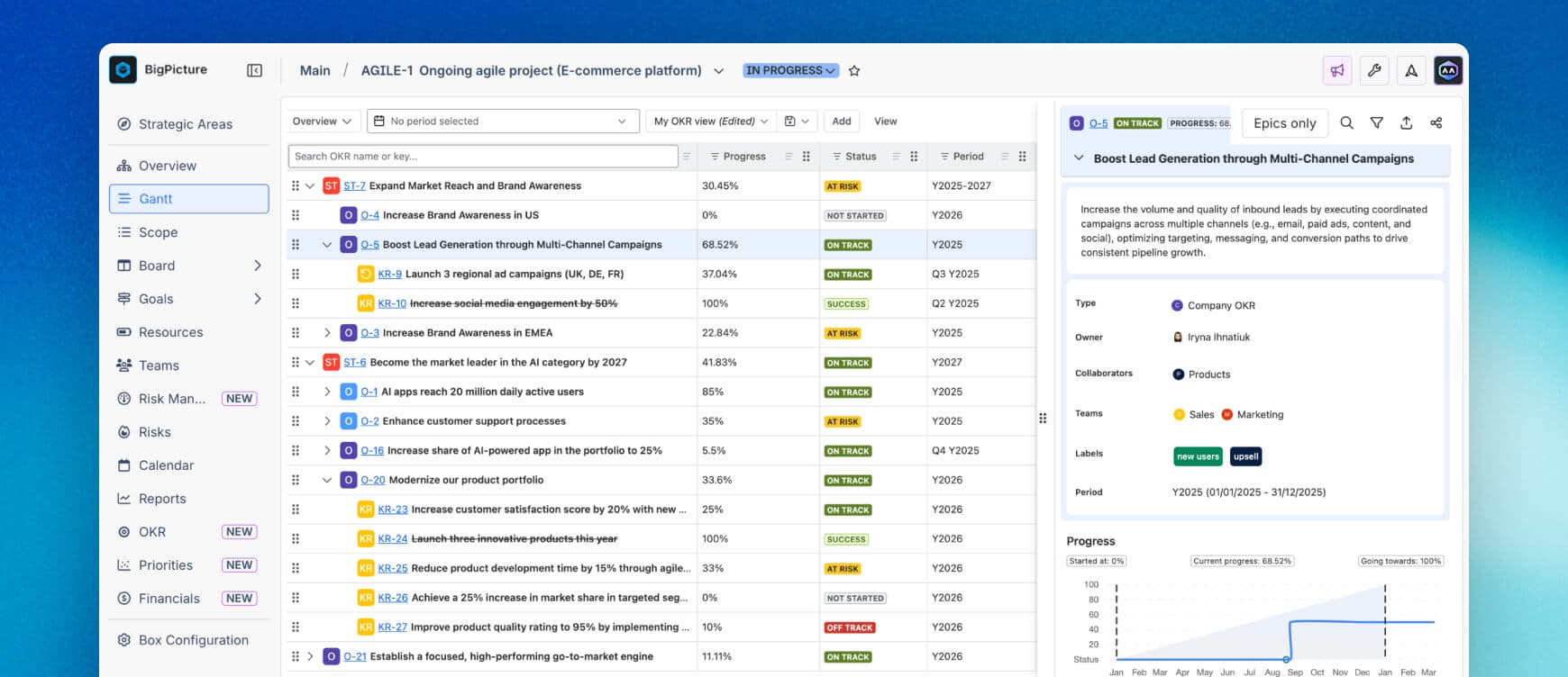 BigPicture Objectives Management