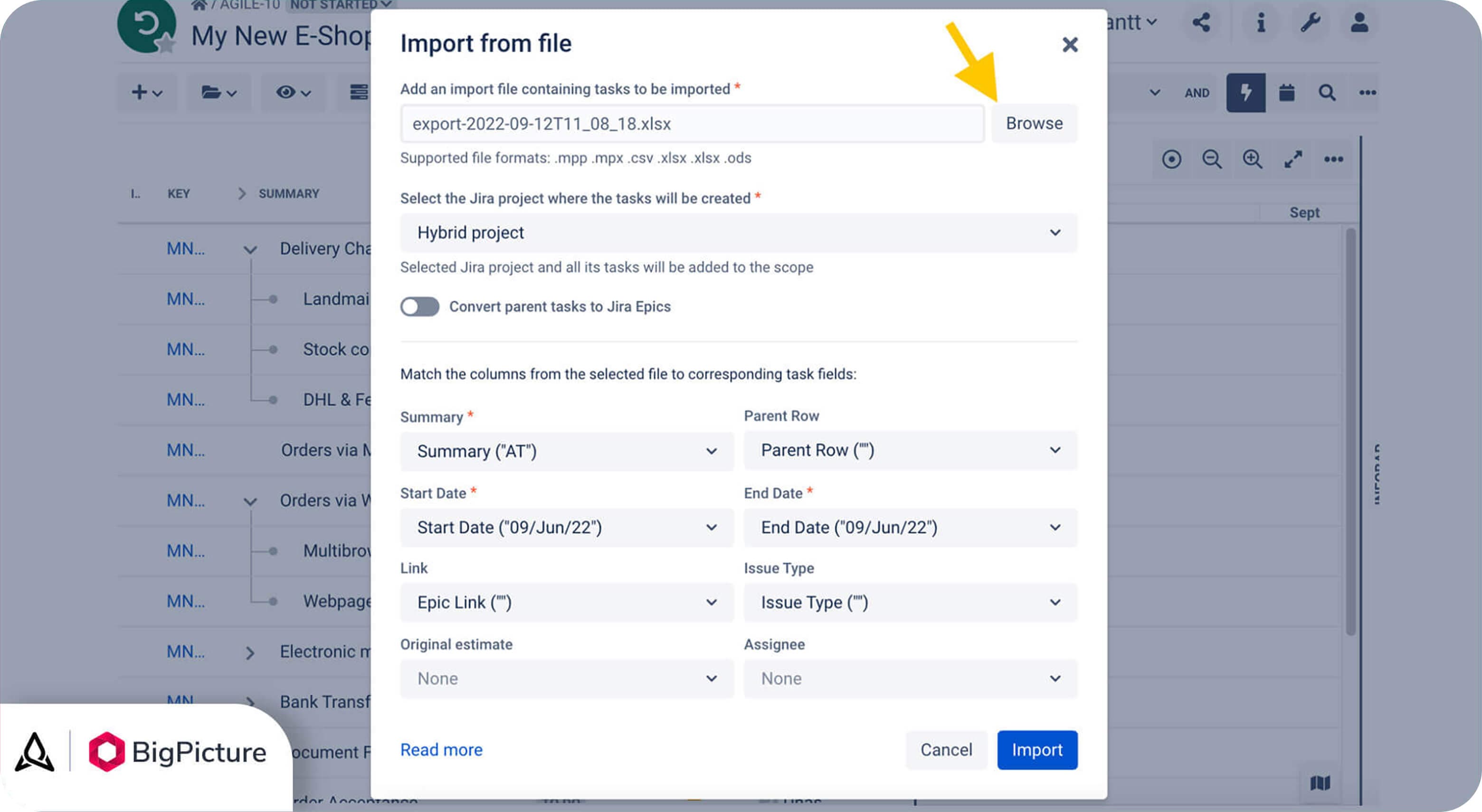 11 Import-project-data-to-BigPicture 1.jpg