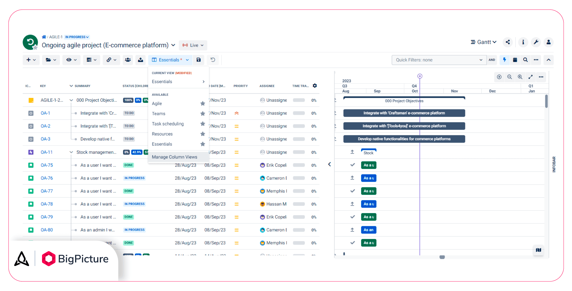 The manage view option enables you to access the page where you can customize and save your column views.