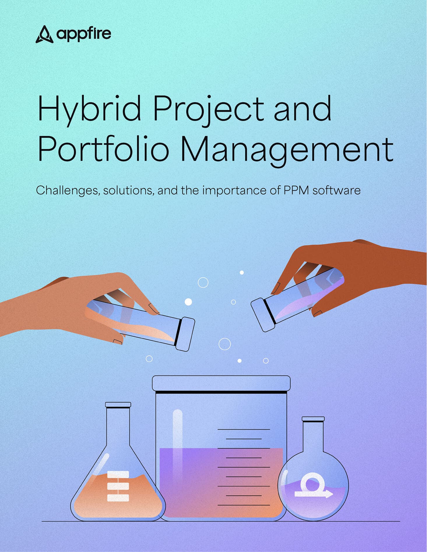 Hybrid project portfolio management - Download