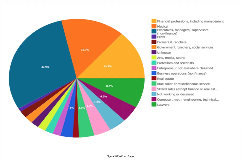 Figure 16 Pie chart report